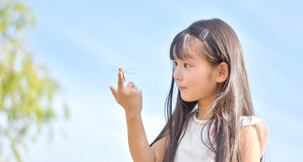前妻の子は相続人になるの?